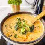 Cheddar Broccoli Soup Bowl